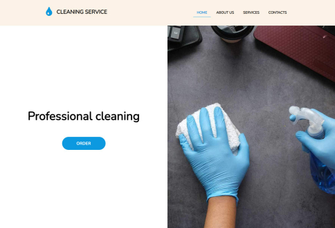 Services/Cleaning service